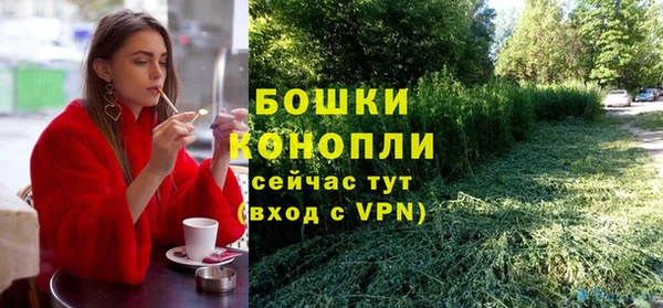 дмт Богданович