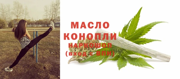 дмт Богданович