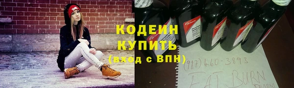 дмт Богданович