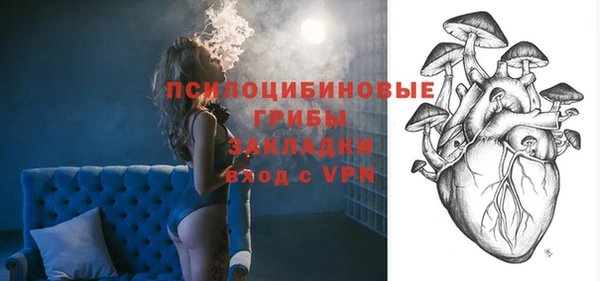 бошки Богородицк