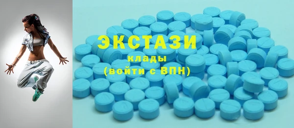 дмт Богданович