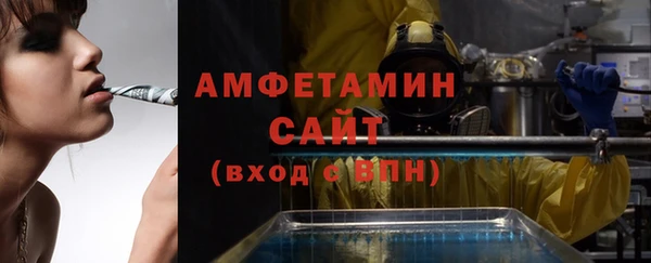 дмт Богданович