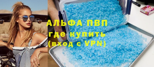 дмт Богданович