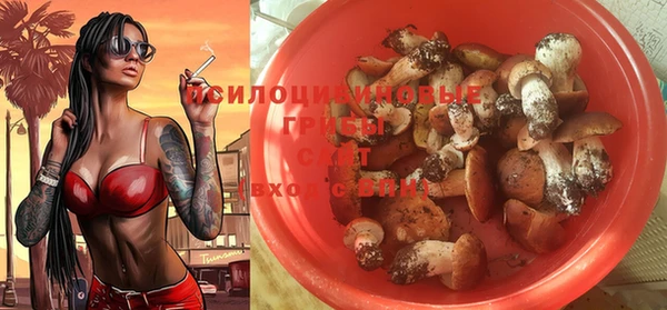 бошки Богородицк