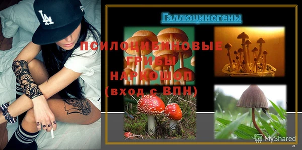 дмт Богданович