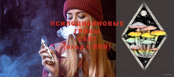 дмт Богданович