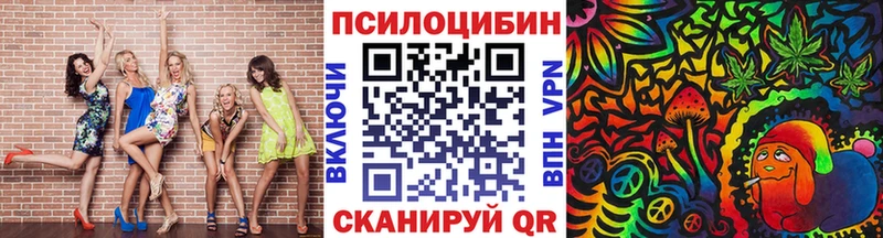 Галлюциногенные грибы Cubensis  как найти закладки  Ногинск 